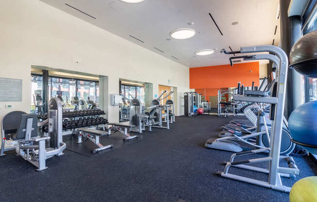 A gym with a variety of equipment including weights and cardio machines.