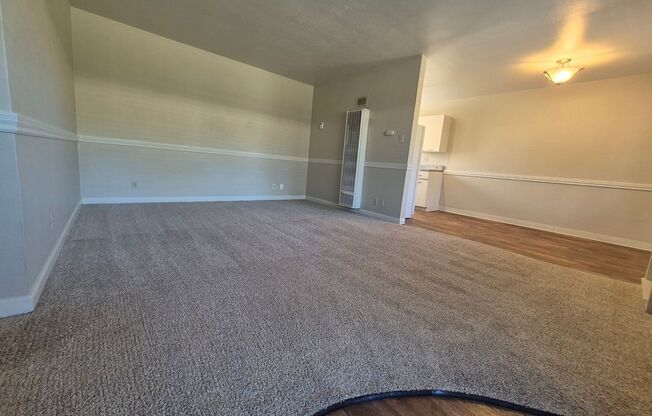 1 bed, 1 bath, $1,600, Unit 206