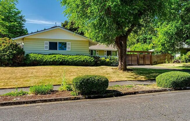 South Eugene Gem! Single-Level 3BD/2BA w/ Fireplace & Park-Like Backyard