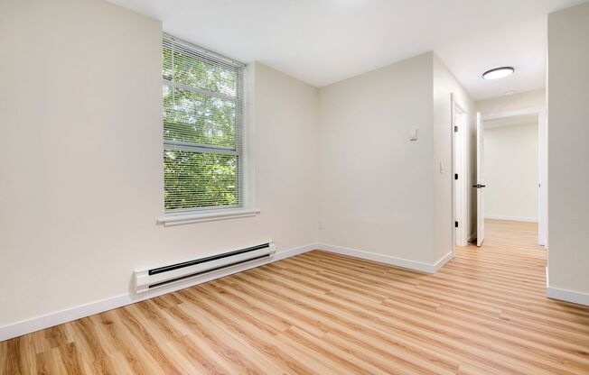 1 bed, 1 bath, 540 sqft, $1,415, Unit 1