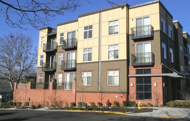 1 bed, 1 bath, 704 sqft, $1,525, Unit 307