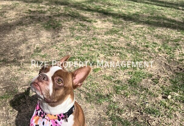 Partner-provided property photo