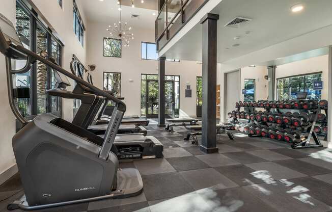 a gym with treadmills and weights in a building with windows