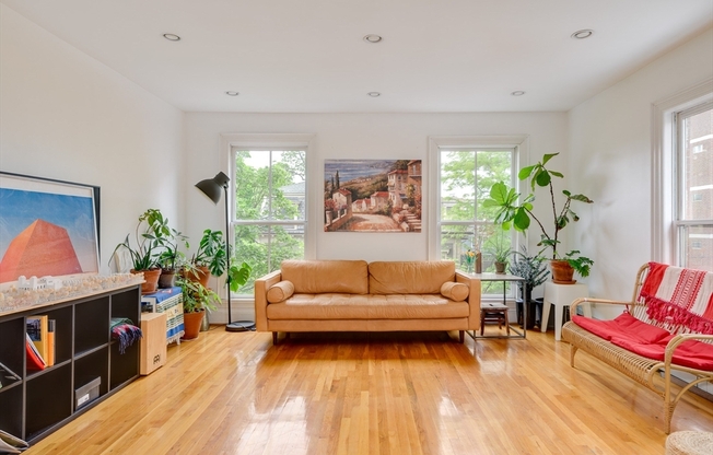 46 Bigelow St.
