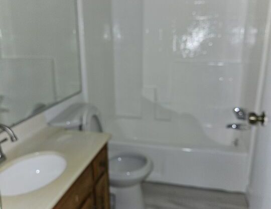 Studio, 1 bath, $1,450, Unit 4