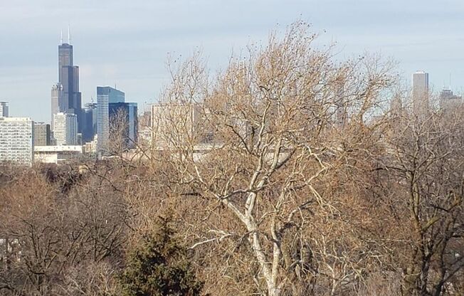 2 beds, 2 baths, 1,039 sqft, $2,325, Unit 626-607