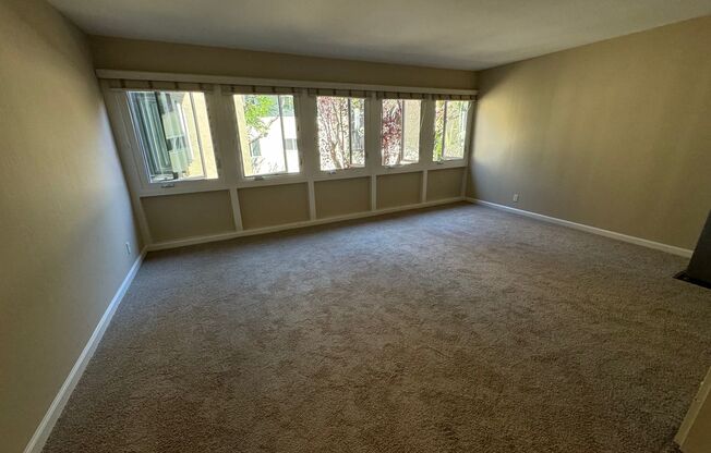 Studio, 1 bath, 360 sqft, $2,350