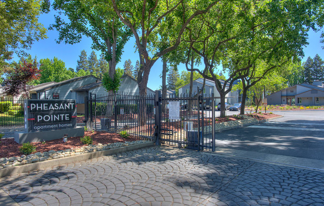 Pheasant Pointe Entrance and Monument Sign