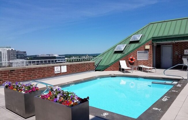 1 bed, 1 bath, 778 sqft, $2,600, Unit 1003