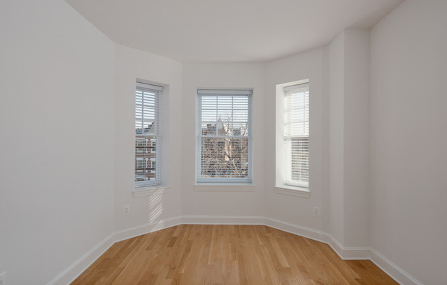 Gallery Photo 15