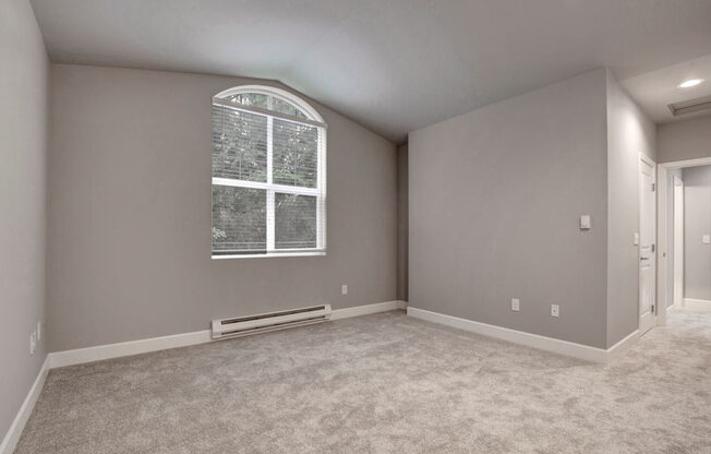 A room with a window and a carpeted floor.