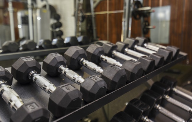 Free Weights