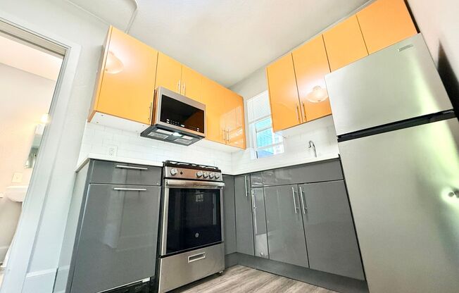 Studio, 1 bath, 237 sqft, $995, Unit 206