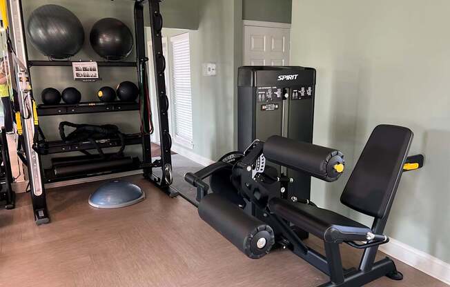 A gym with a weight bench, a squat rack, and a wall-mounted pull up bar.