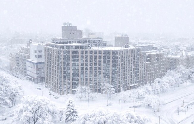 1 bed, 1 bath, $3,785, Unit 712