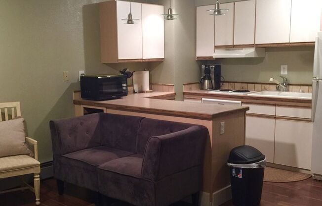 Furnished Downtown Corporate Rental