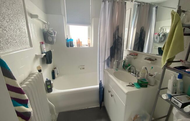 Studio, 1 bath, 300 sqft, $1,550, Unit Unit 406
