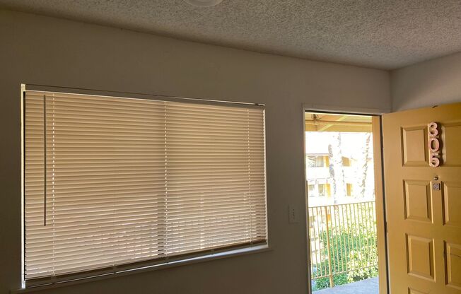 Studio, 1 bath, 234 sqft, $1,036, Unit 305