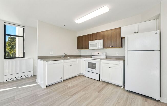 1 bed, 1 bath, 547 sqft, $2,650, Unit 409