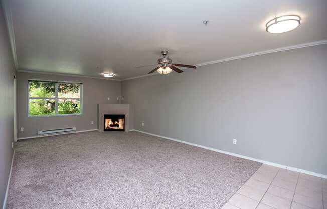 lots of natural light in apartment