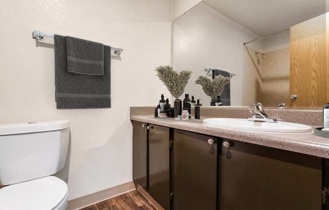 a bathroom with a sink toilet and a mirror at Eagles Landing Apartments, Everett, WA 98204  