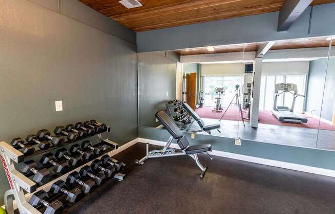 A gym with a bench, weights, and exercise equipment.