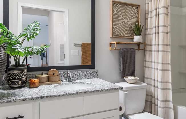 A bathroom with a white toilet and a mirror above the counter.