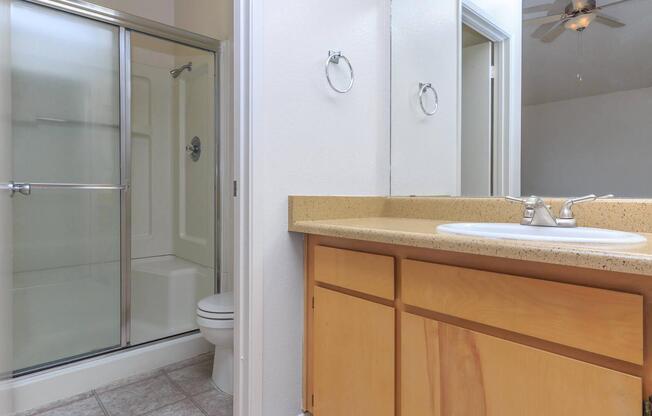 a shower that has a sink and a mirror