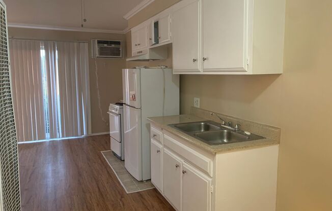 Studio, 1 bath, 450 sqft, $1,395, Unit 301