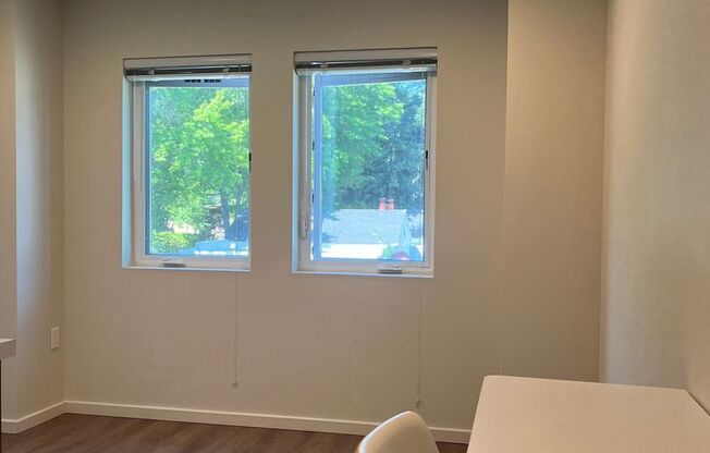 Studio, 1 bath, 180 sqft, $1,295, Unit 407-MFTE