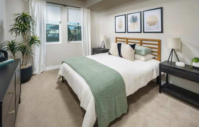 Spacious Bedroom With Plush Carpeting, High Ceiling, And Two Windows at NoMa Apartments, California, 94596