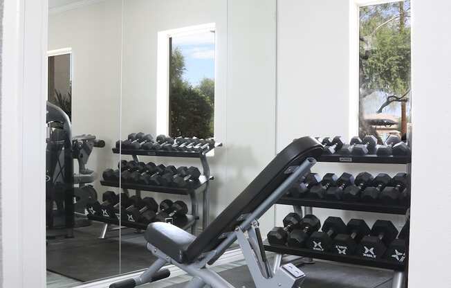 A gym with a mirror, weights, and a bench.