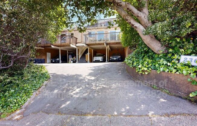 236 SAN CARLOS AVE