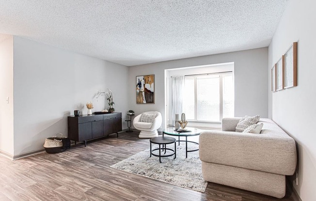 A living room with a grey sofa, a black dresser, a coffee table, and a rug.