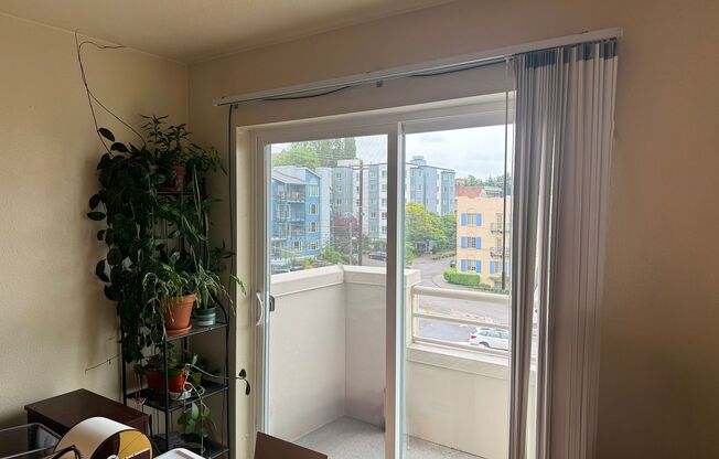 1 bed, 1 bath, 475 sqft, $1,850, Unit 404