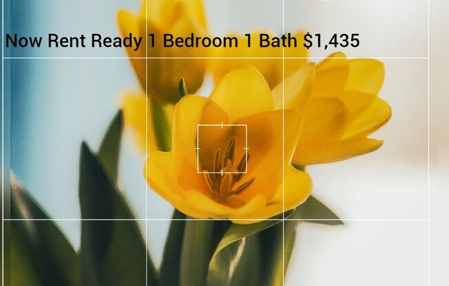 Life Just Got Better Come See For Yourself At Powell Court Apartments!!