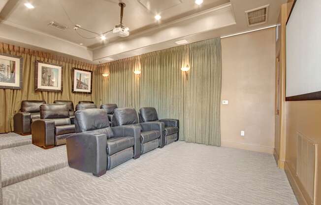 Rancho Belago Theater Room