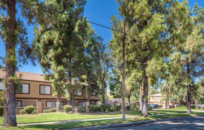 exterior view of apartments with trees and grass and a street