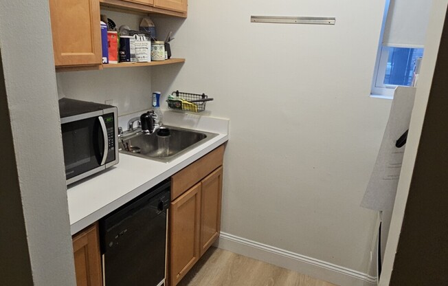 1 bed, 1 bath, $3,000, Unit 301