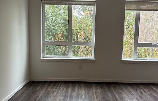 1 bed, 1 bath, 580 sqft, $1,299, Unit 209