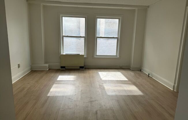 Studio, 1 bath, 224 sqft, $1,075, Unit 506