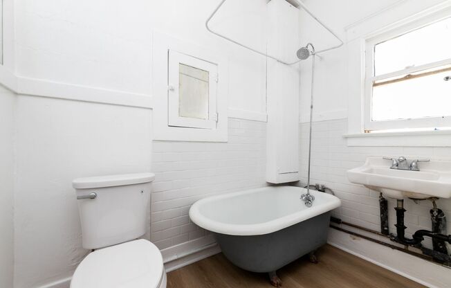 Studio, 1 bath, 300 sqft, $1,900, Unit Unit 6