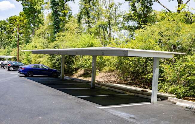 a car park with trees in the background and a blue car in the foreground