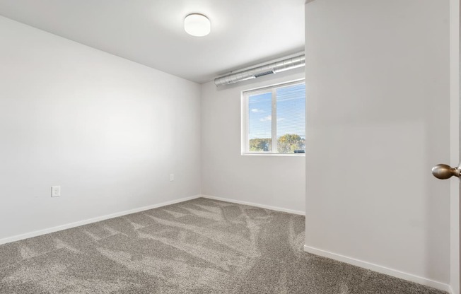 A room with a carpeted floor and a window showing a blue sky and trees outside.