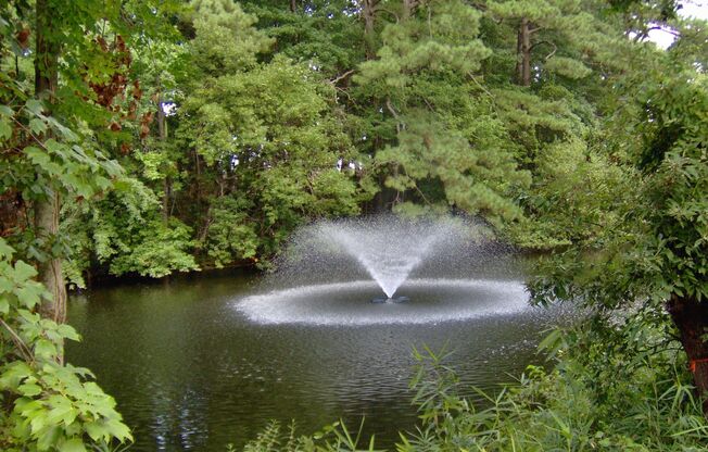 2 beds, 1 bath, 1,200 sqft, $1,750, Unit 00 - 552302