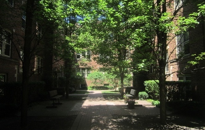 Oak Park Apartment!