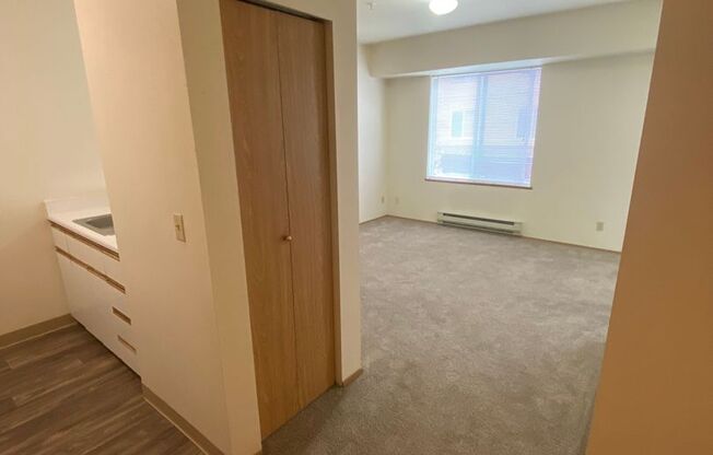 Studio, 1 bath, 462 sqft, $1,295, Unit 225