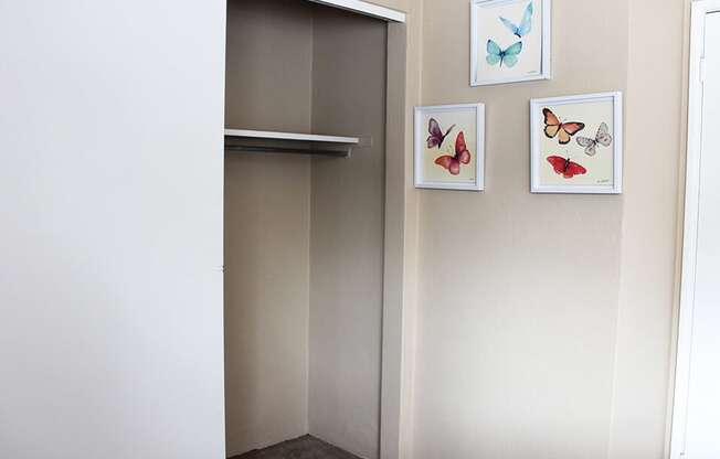 a closet with a sliding door and three pictures of butterflies on the wall