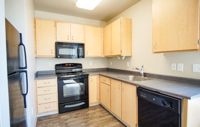 Light & Airy Modern 1 Bedroom w/Large Windows, A/C, & W/D!