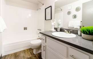 bathroom with sink toilet and tub